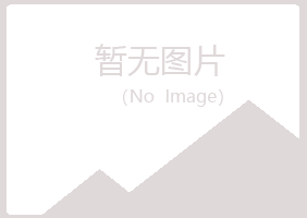 岐山县听白会计有限公司